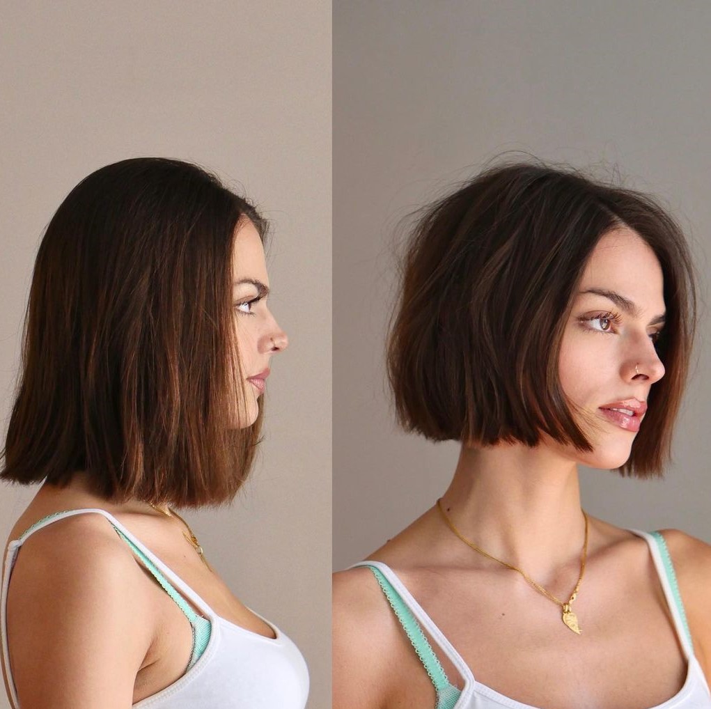 Chin-Length Blunt Bob Cut for Thick Hair