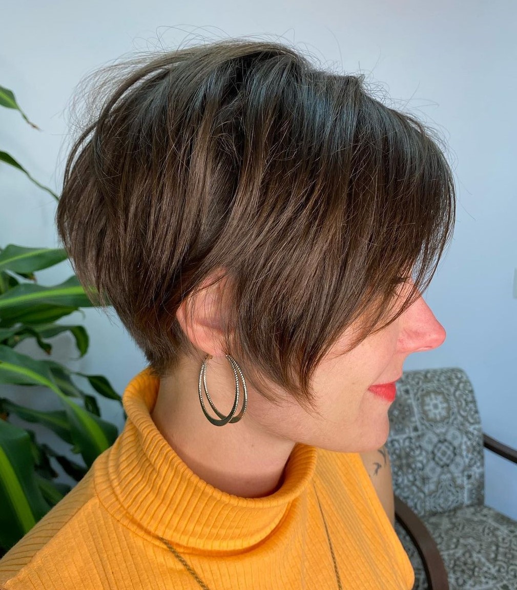 Low-Maintenance Brown Pixie-Bob